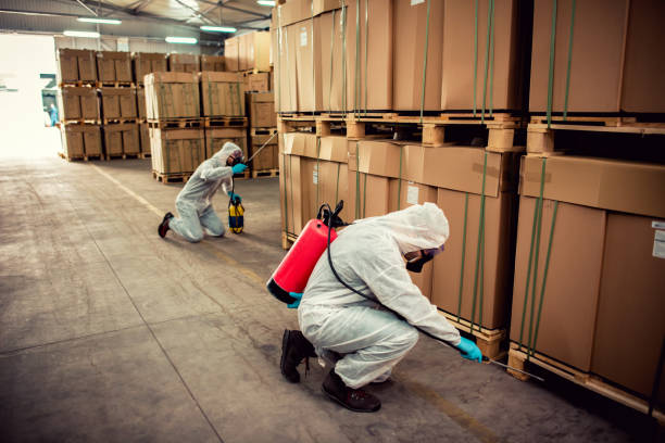 Best Pest Control Near Me in Schiller Park, IL