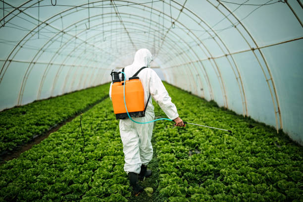 Best Residential Pest Control  in Schler Park, IL