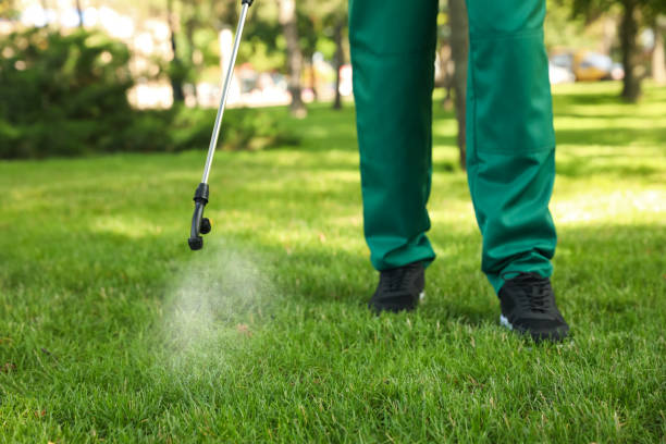 Best Affordable Pest Control Services  in Schler Park, IL