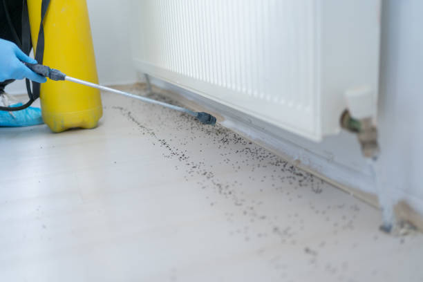Best Pest Control Near Me  in Schler Park, IL