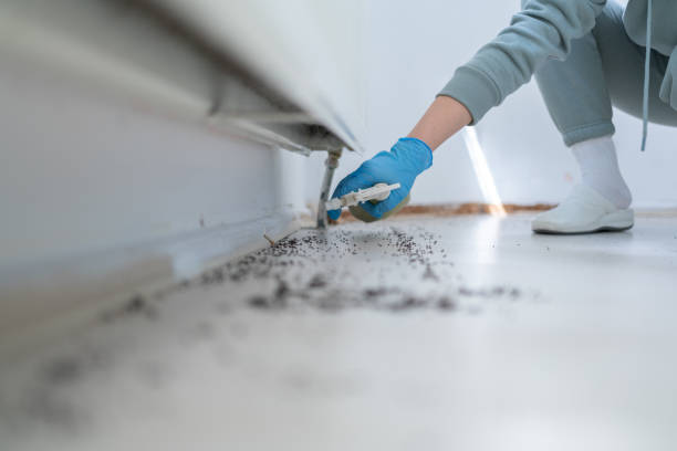 Best Residential Pest Control  in Schler Park, IL